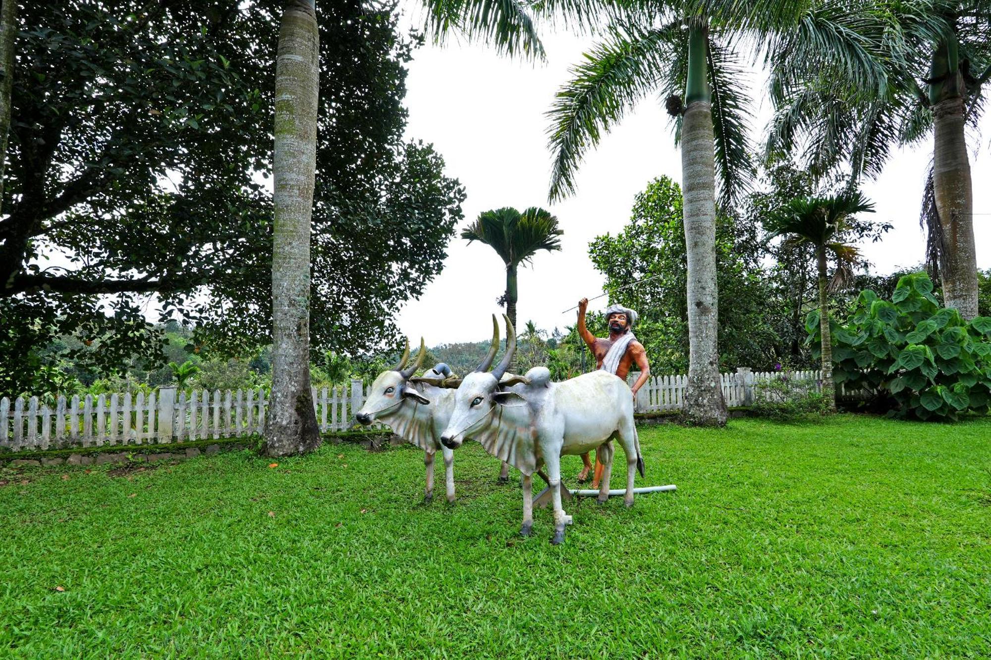 Leisure Homestay - Pool, Boating, Zipline, Home Food, Estate Chikmagalūr Kültér fotó