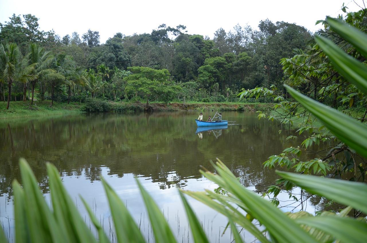 Leisure Homestay - Pool, Boating, Zipline, Home Food, Estate Chikmagalūr Kültér fotó